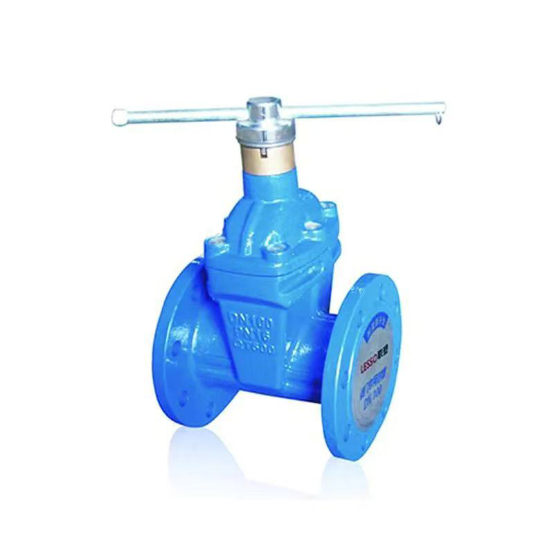 Gate Valve
